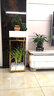 思轩家具轻奢花架置物架客厅后现代简约金属不锈钢室内落地花盆架 玻璃面板黑色低花架（35*35*50） 实拍图