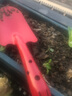 新东山小铲子铁铲铁锹园艺养花盆栽种菜挖土除草器户外松土多肉工具 60铲（随机颜色） 实拍图