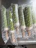 明治meiji抹茶白玉雪糕 62g*6支 彩盒装 实拍图
