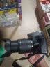 尼康 D3500 家用入门级单反相机 数码照相机 D3500+18-55VR防抖套机 标配 实拍图