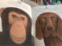 信谊绘本世界精选图画书：动物眼中的世界 实拍图