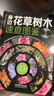身边花草树木速查图鉴（汉竹）（精） 实拍图