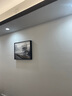 柳莺花燕免打孔电表箱装饰画现代简约客厅餐厅挂画电闸箱配电箱遮挡壁画 栈桥飞鸟 50X40遮挡40X30表箱 上掀款 实拍图