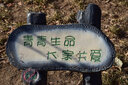 尼康D5100 D5200 D5300 D3200 D3400 D3100 D90二手单反相机入门级 95新D5300含18-105防抖 官方标配 实拍图