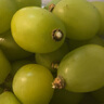 阳光玫瑰葡萄晴王香印子新鲜水果日本品种 精品5斤串果 单粒8-10g 实拍图