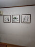 紫腾随轩新中式沙发背景墙装饰画客厅卧室书房壁画餐厅饭厅有框挂画 和谐 50*50cm红木色实木框 实拍图