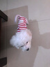 ISPET狗狗衣服宠物泰迪猫咪衣服金毛大中小型犬薄款四季通用&新疆棉 红色-部分码数升级两袖 S 建议2-4斤 实拍图