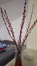 九月生银柳真花10支新年装饰鲜枝干花摆件室内绿植物招财年宵花卉盆栽 实拍图