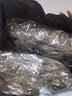 别颖（ROMANZO）端午节香包艾草手工diy刺绣荷包香囊香空袋材料包DIY动手礼品 半手工带流苏香囊 实拍图