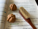 藏鸿阁文玩刷子硬猪鬃刷子橄榄核桃金刚菩提手串清理榉木花梨软硬刷工具 小号花梨木软鬃刷 实拍图