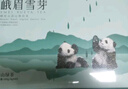 峨眉雪芽 手工定制绿茶 明前茶叶四川峨眉山茶高山茗茶礼盒120g 源头直发 实拍图
