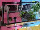 爬将军 乌龟缸特大号 玻璃造景晒台草龟大型养龟箱盆别墅家用生态龟缸 40cm缸【餐一】 双流水晒台8件套 实拍图
