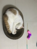 licheers猫抓板猫窝猫爪板不掉屑猫抓盆幼猫玩具瓦楞纸猫窝磨爪器猫咪用品 晒单实拍图