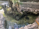 欧亚瑟德国欧亚瑟鱼池吸污机真空水下吸尘器池塘吸污泵池底清洁鱼粪神器 1700W(5吸嘴+网袋+5米吸2.5米排) 晒单实拍图