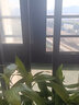欧巴顿 妈妈装仿皮草黄金貂中老年女秋冬装毛呢外套中长款加厚保暖上衣 卡其色 3XL/180【建议115-130斤】 实拍图