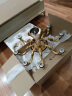 凯特皇菲 欧式全铜吊灯客厅灯美式简约卧室灯餐厅灯复古别墅大厅灯具 8923 6头 赠送光源 实拍图