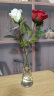 TaTanice   花瓶红白玫瑰+雨点花瓶 玻璃花瓶仿真花轻奢花瓶摆件水珠花瓶 实拍图