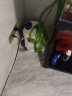 森森（SUNSUN）鱼缸过滤器外置水族箱过滤桶 HW302+1kg滤材(适合0.6-1米的鱼缸) 实拍图