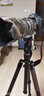 徕图（Leofoto）三脚架云台 便携反折摄影摄像轻便双全景球形云台专业三脚架云台套装 LX-284CT+XB-38 实拍图