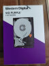 西部数据 监控级硬盘 WD Purple 西数紫盘 1TB CMR垂直 64MB SATA (WD11PURZ) 实拍图