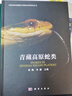 青藏高原蛇类/爬行动物/蛇/青藏高原/青藏科考/两栖爬行动物/两栖爬行动物多样性研究/郭鹏教授 实拍图