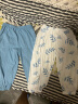 舒贝怡2条装婴儿裤子宝宝儿童防蚊裤男女童长裤夏季童装 蓝色 80CM 实拍图