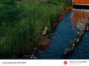 中一（zhongyi） 中一光学90mm F1.5全画幅微单人文旅拍适用于M\RF\FE\Z\L口 徕卡M黑色 标配 实拍图