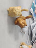 木雕现代童趣可爱简约傲娇招财小猫手把件文玩随身盘玩动物 黄杨木傲娇猫约6cm 实拍图