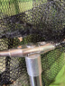 熊火 抄网1.8米加厚不锈钢可伸缩钓鱼抄网杆便携折叠网头套装钓鱼配件 实拍图
