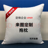 安茹刘朝（Anruliuchao） DIY来图定制作照片抱枕头沙发床头靠垫枕定做生日礼物公司logo 加厚帆布 40cm*40cm双面定制 实拍图