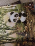 杨红樱启蒙图画书熊猫日记第一辑：春天的故事，一套教给孩子睁眼看世界的启蒙教育图画书（套装10册） 实拍图