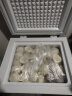 志高（CHIGO）小冰柜家用小型冷冻一级节能省电速冻冷柜迷你冷藏冷冻柜 【一级能效 可囤45斤肉类】 58L 实拍图