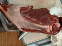 草原宏宝内蒙古羔羊去骨后腿肉 净重1kg/袋 烧烤火锅 羊腿肉 地理标志认证 实拍图