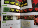 时间的珍藏 自然科普摄影艺术儿童认知书7-10岁  后浪 实拍图