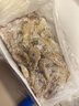 混元兽 虾国产青岛鲜捕大虾特大号 青虾冻海虾生鲜 虾类白虾 青岛水冻大虾 3斤(净重)  14-17厘米 实拍图