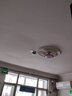 凌防（LFang）PS-819D  NB烟雾报警器独立烟感探测器消防3C无线家用火灾警报器 实拍图