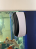 美悦宠物鱼缸刷子磁力刷鱼缸擦无死角水族箱擦缸玻璃清理器清洗清洁工具 特大号磁力刷 适用120CM以上鱼缸 晒单实拍图