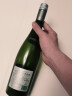 桃乐丝（Torres）宝石半干白葡萄酒750ml*6整箱 莫斯卡西班牙进口红酒气泡酒调制酒 实拍图