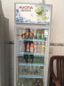 澳柯玛（AUCMA）268L商用展示柜 风冷无霜冷藏柜 立式冰箱陈列柜 超市啤酒水果饮料柜 单门保鲜柜 SC-268WNE 实拍图