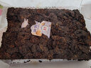 大益茶叶 普洱茶 熟茶 2018年老茶头 熟砖 1801批次250克*3块 实拍图