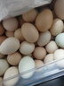 我老家新鲜大鹅蛋 农家自养土鹅蛋 现捡现发 鹅蛋12枚(120-140g) 实拍图