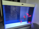 汉霸超白玻璃鱼缸 生态底滤循环系统 鱼缸客厅 家用智能懒人 水族箱 银+白 屏风款1.0米长x40cm宽x82cm+71cm高 实拍图