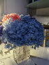 匠心绽放绣球干花永生花花束天然真花轻奢高档家居客厅装饰插花蓝色20271 实拍图