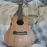 TOM单板初学者尤克里里单板桃花心木乌克丽丽学生男女儿童ukulele 23英寸T5单板碳素弦 实拍图
