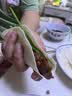 粮溪谷巷正宗山东淄博烧烤小饼淄博小饼烧烤卷饼烤肉薄饼白皮饼 淄博烧烤小饼5包（30张） 实拍图