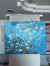 自油自画 世界名画数字油画diy礼物梵高手绘油画欧式客厅装饰挂画填色油画 杏花40*50 梵高名画 绘画套装 实拍图