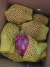 越南进口白心火龙果 6粒装 白肉 单果约300-350g 新鲜水果 实拍图