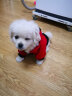 迪普尔 宠物狗狗衣服猫衣服泰迪小狗幼犬衣服秋冬季服装雪纳瑞小型犬 红卫衣M（建议体重4-8斤左右） 实拍图
