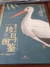 雕版手绘珍鸟图鉴：荷兰皇家图书馆典藏250周年精选纪念版   儿童年货节送礼 实拍图