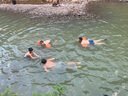 博沃尼克 游泳手臂圈 游泳水袖 游泳浮圈 成人儿童泳圈 游泳装备 橙色 实拍图